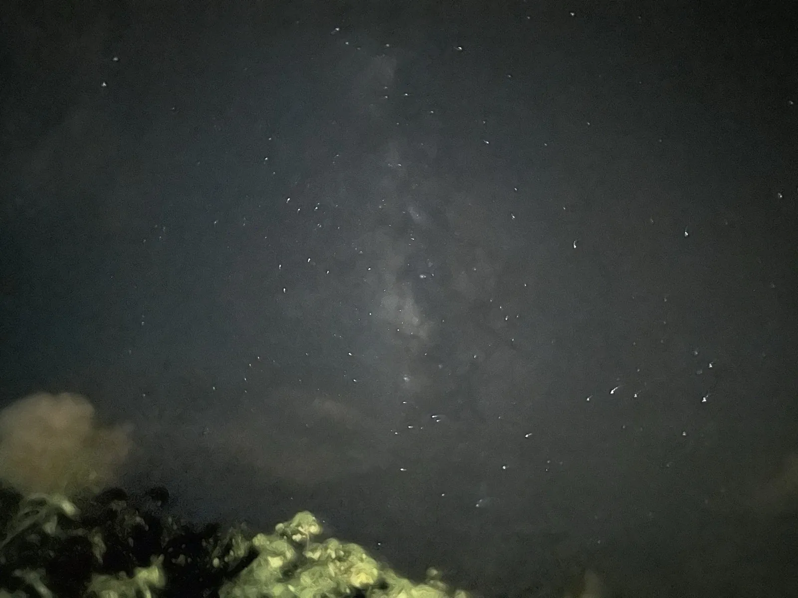 Comic B&B, Stargazing Reserve Night Sky